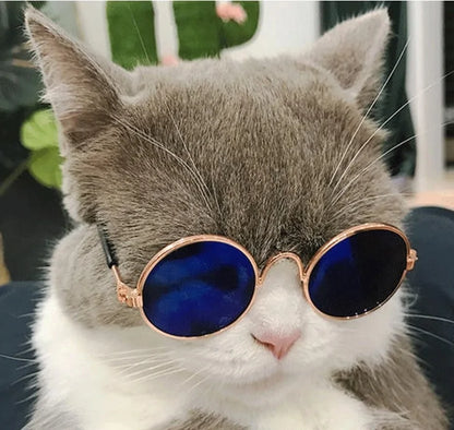 Vintage Round Cat Sunglasses